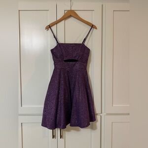 Elegant Purple Women's Dress